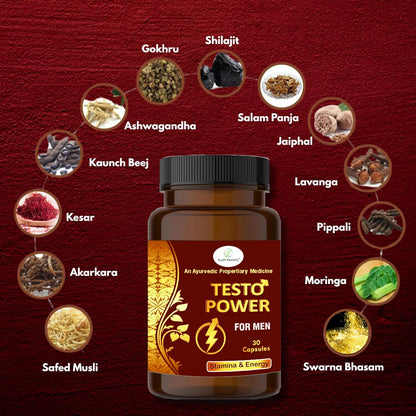 Sudh Vedafy Testo Power Capsules for Men – 30 Capsules | Ayurvedic Vitality Booster